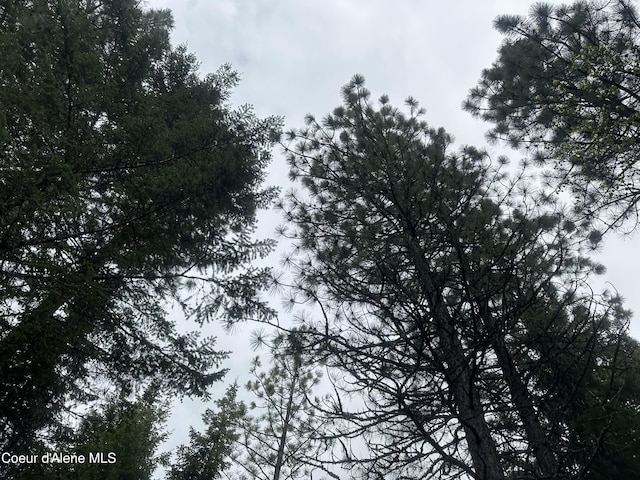 E Badger, Harrison, ID 83833