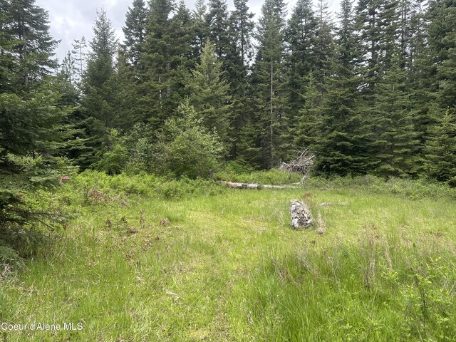 E Badger, Harrison, ID 83833