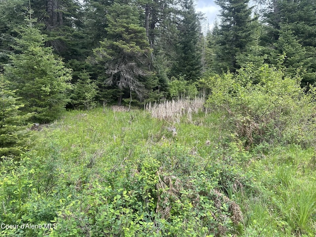 E Badger, Harrison, ID 83833