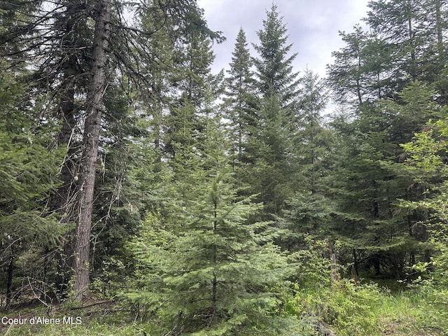 E Badger, Harrison, ID 83833