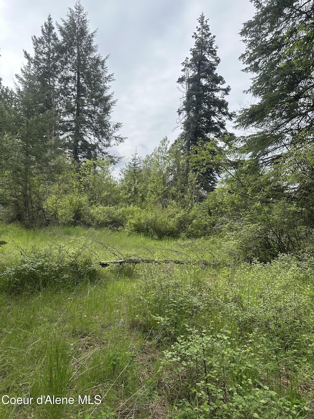 E Badger, Harrison, ID 83833