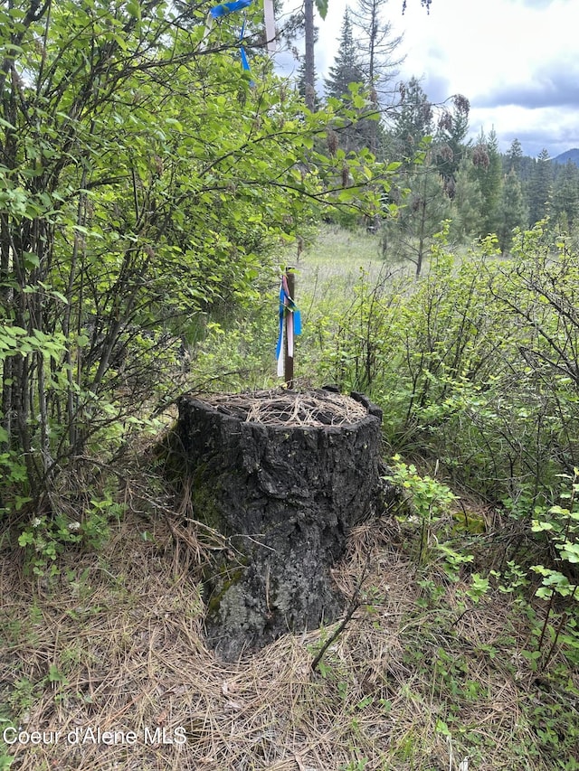 E Badger, Harrison, ID 83833