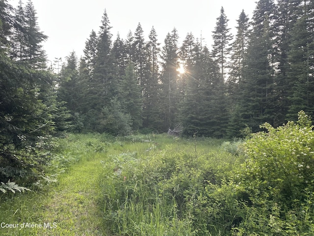 E Badger, Harrison, ID 83833
