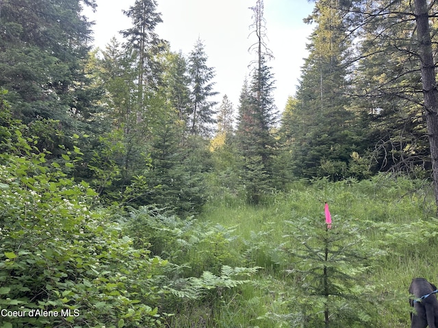E Badger, Harrison, ID 83833