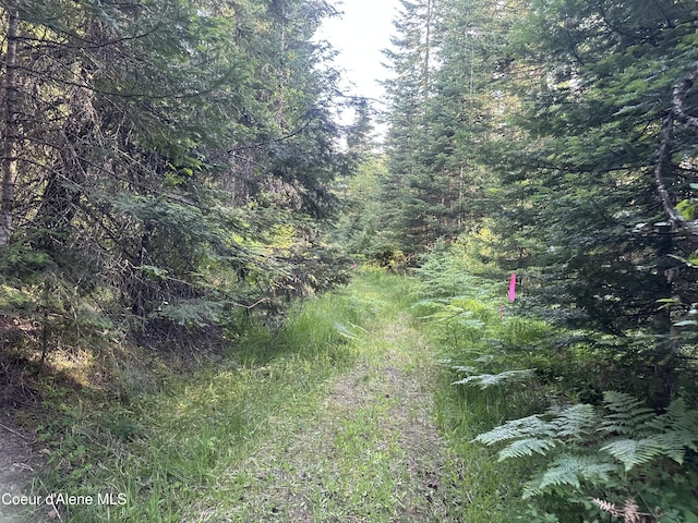 E Badger, Harrison, ID 83833