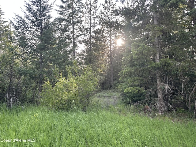 E Badger, Harrison, ID 83833