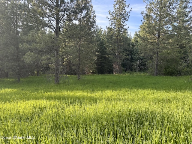E Badger, Harrison, ID 83833