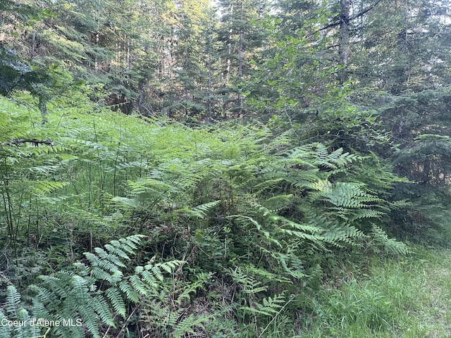 E Badger, Harrison, ID 83833