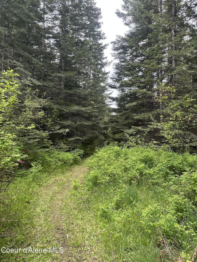 E Badger, Harrison, ID 83833