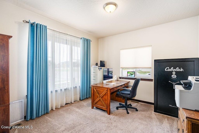 4631 E Alopex Ln, Post Falls, ID 83854 - office with carpet flooring