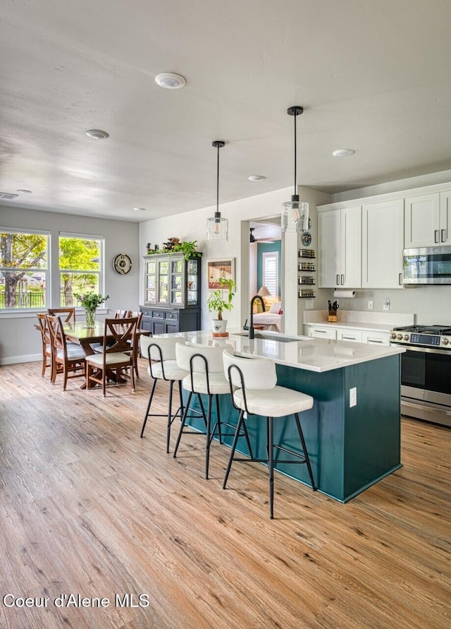 511 University Park Way, Sandpoint, ID 83864 - kitchen with stainless steel appliances, a sink, an island with sink, light wood finished floors, and white cabinets