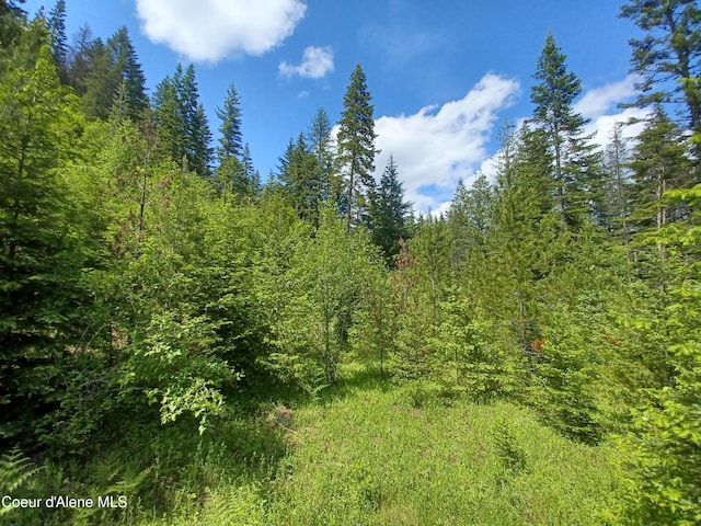 127 Coyote Trl, Priest River, ID 83856