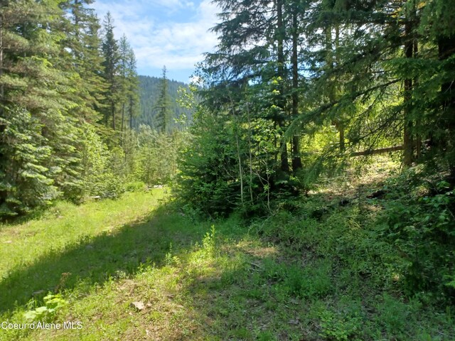 127 Coyote Trl, Priest River, ID 83856