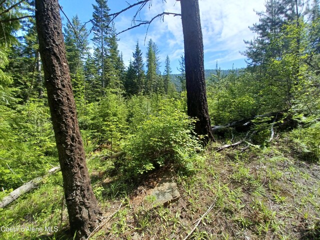 127 Coyote Trl, Priest River, ID 83856