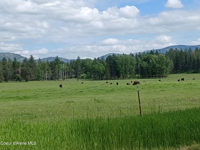127 Coyote Trl, Priest River, ID 83856