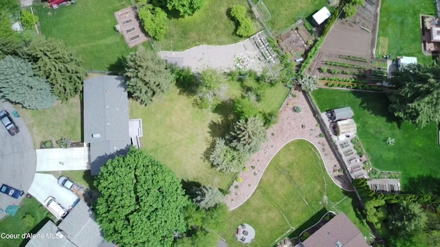 drone / aerial view