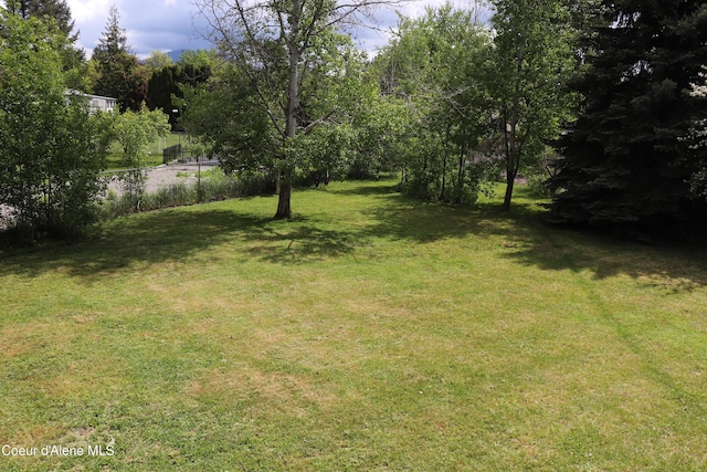 view of grassy yard