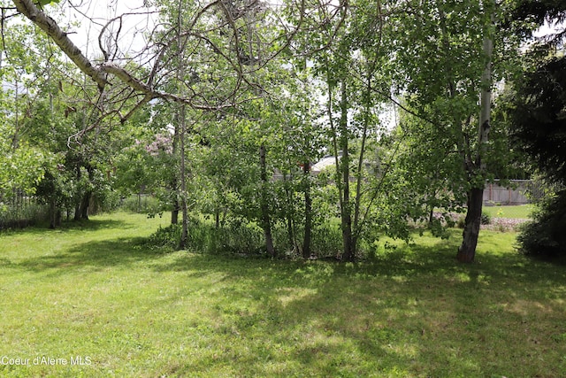 view of yard