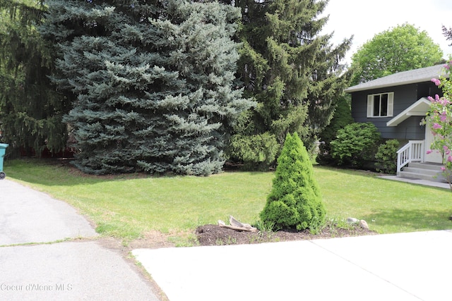 view of green lawn with a patio