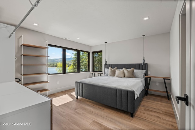 55 S Thistle Down Ln, Laclede, ID 83841 - bedroom featuring light wood-style floors, baseboards, and recessed lighting