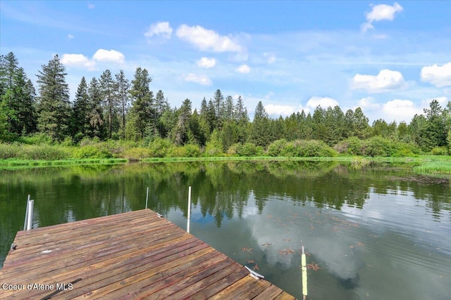 7168 W Hoodoo Pl, Spirit Lake, ID 83869 - photo 9