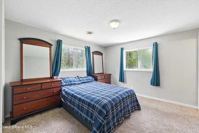 6699 Colburn Culver Rd, Sandpoint, ID 83864 - bedroom featuring multiple windows, carpet, baseboards, and a textured ceiling