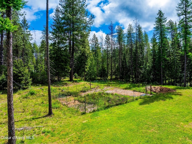 6699 Colburn Culver Rd, Sandpoint, ID 83864 - view of grassy yard with a vegetable garden and a wooded view