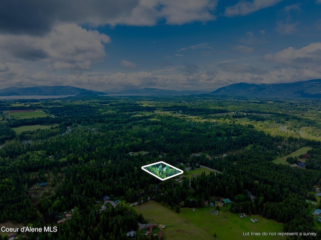 6699 Colburn Culver Rd, Sandpoint, ID 83864 - view of property location with property parcel outlined, a mountain backdrop, and a heavily wooded area