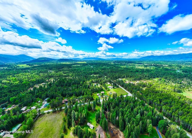 6699 Colburn Culver Rd, Sandpoint, ID 83864 - bird's eye view of a forest and a mountain backdrop