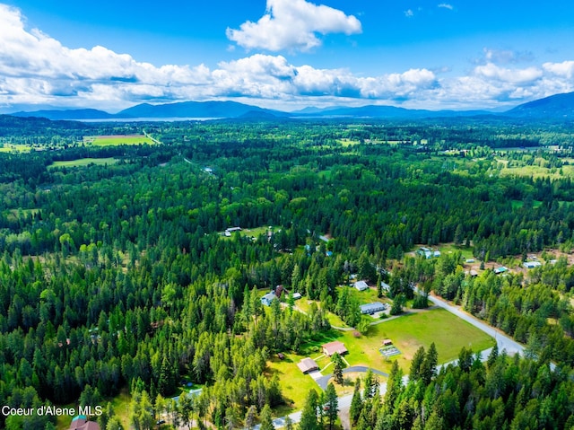 6699 Colburn Culver Rd, Sandpoint, ID 83864 - aerial view of a forest and a mountain backdrop