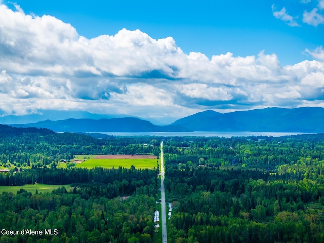6699 Colburn Culver Rd, Sandpoint, ID 83864 - view of mountain background featuring a forest
