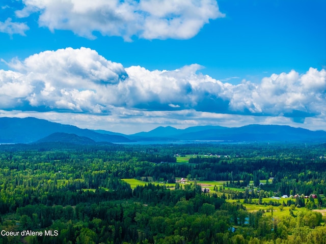 6699 Colburn Culver Rd, Sandpoint, ID 83864 - mountain view with a heavily wooded area