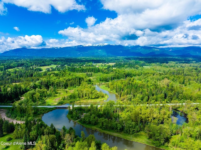 6699 Colburn Culver Rd, Sandpoint, ID 83864 - bird's eye view of a forest and a water and mountain view