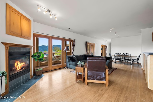 living area with light wood finished floors, a fireplace, and a mountain view
