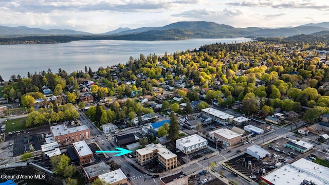 bird's eye view of a water and mountain view