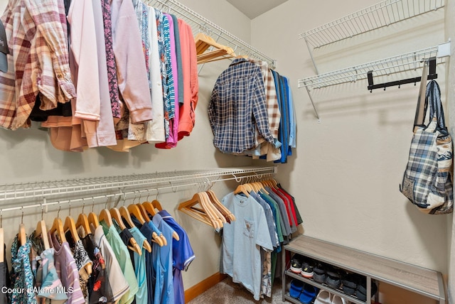 4461 W Greenchain Loop # 5, Coeur Dalene, ID 83814 - view of walk in closet