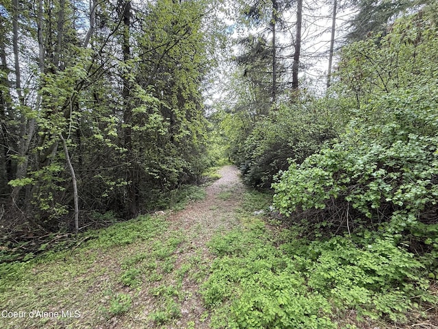 1605 Crystal Peak Rd, Fernwood, ID 83830