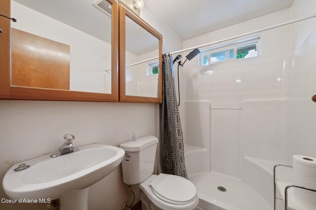 bathroom featuring a sink, a shower stall, and toilet