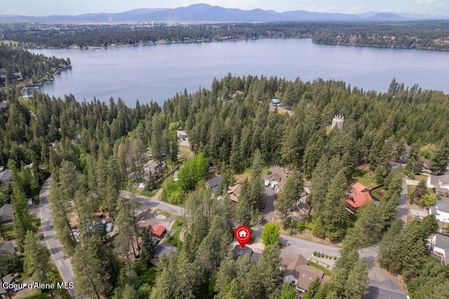 8694 N Clarkview Pl, Hayden Lake, ID 83835 - view of property location featuring a forest and a water and mountain view