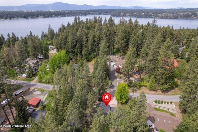 8694 N Clarkview Pl, Hayden Lake, ID 83835 - aerial overview of property's location featuring a heavily wooded area and a water and mountain view