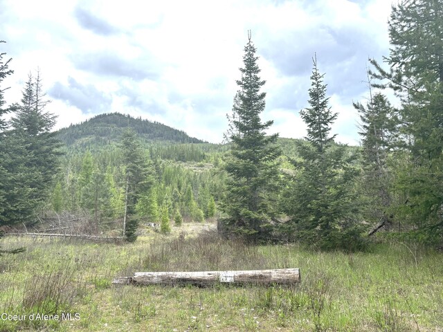 view of mountain backdrop with a forest