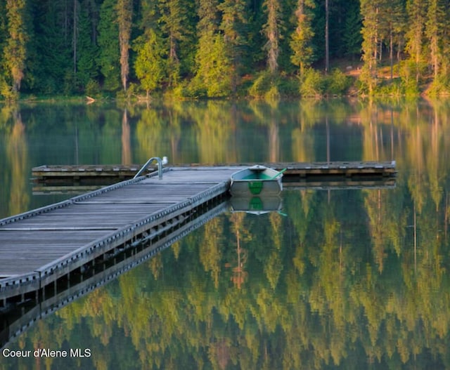 dock with a view of trees and a water view