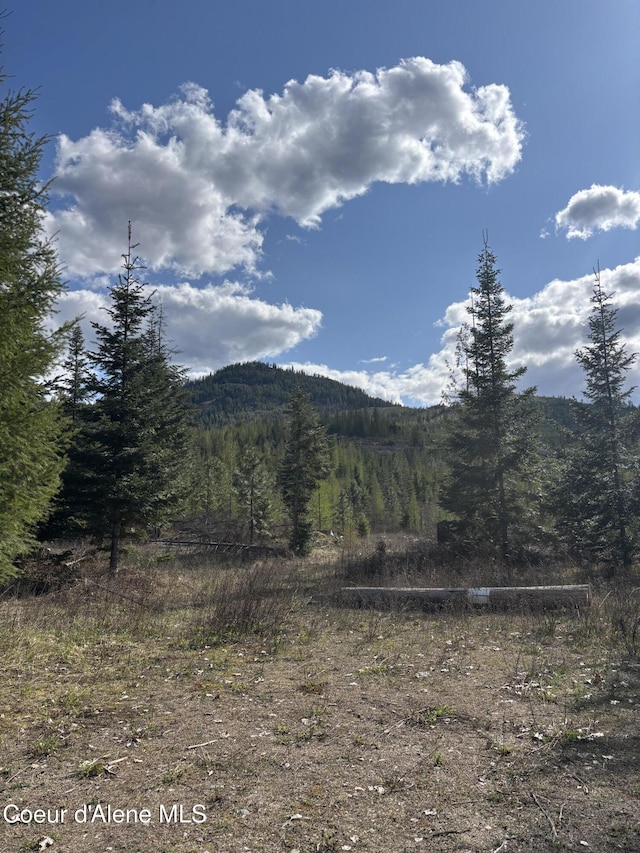 view of mountain background featuring a forest