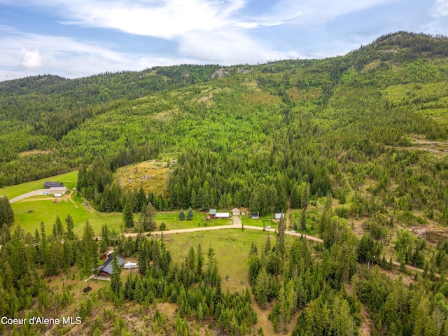 aerial view of a forest and a mountainous background