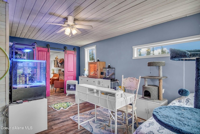 bedroom featuring multiple windows, wood ceiling, wood finished floors, a desk, and a ceiling fan