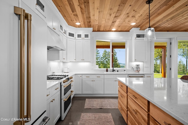 3298 W Coon Creek Rd, Plummer, ID 83851 - kitchen with high quality appliances, wooden ceiling, a sink, glass insert cabinets, and recessed lighting