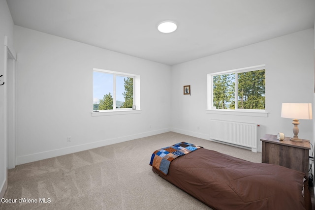 3298 W Coon Creek Rd, Plummer, ID 83851 - bedroom featuring radiator, carpet, and baseboards