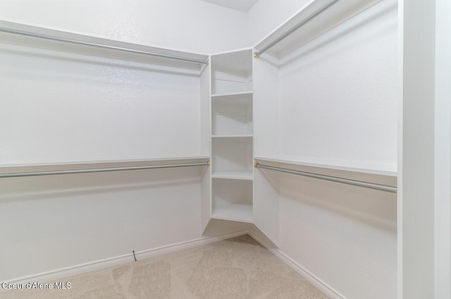 684 Chute Canyon Way, Bonners Ferry, ID 83805 - spacious closet featuring carpet floors
