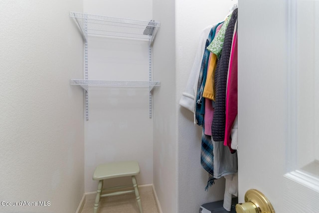 684 Chute Canyon Way, Bonners Ferry, ID 83805 - view of walk in closet