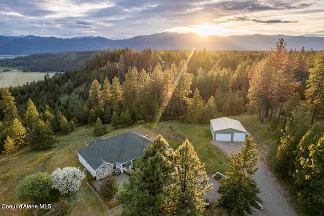 684 Chute Canyon Way, Bonners Ferry, ID 83805 - view of subject property with a mountainous background and a heavily wooded area